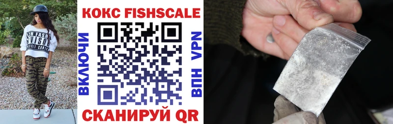 Купить где  Барабинск  Cocaine FishScale 