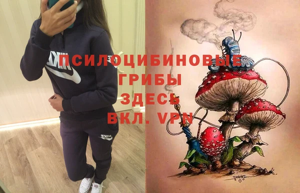 ПСИЛОЦИБИНОВЫЕ ГРИБЫ Кулебаки
