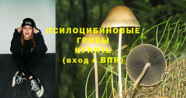 метадон Лиски