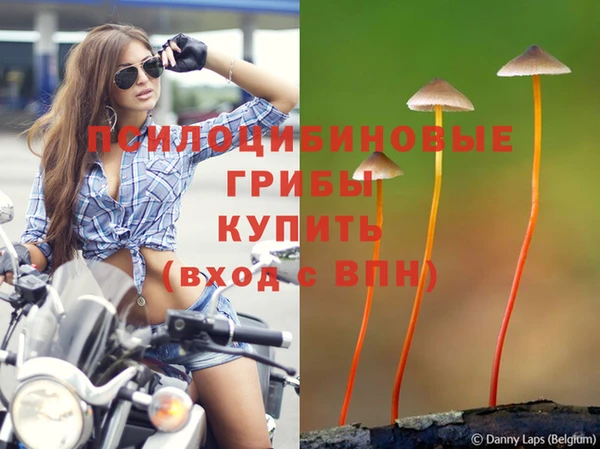 дурь Коряжма